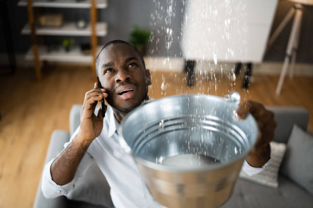 Best Water damage repair service  in Alma, MI