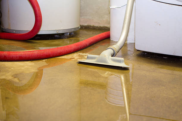 Best Water damage cleanup near me  in Alma, MI